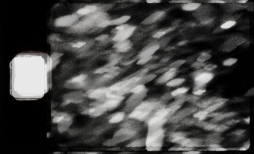Steve Bates-00003