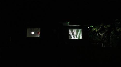TYIFIS_Doc_Still_01